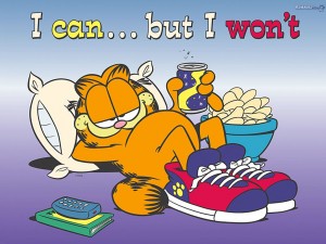 i-can-but-i-won-t--garfield-262532_1024_768